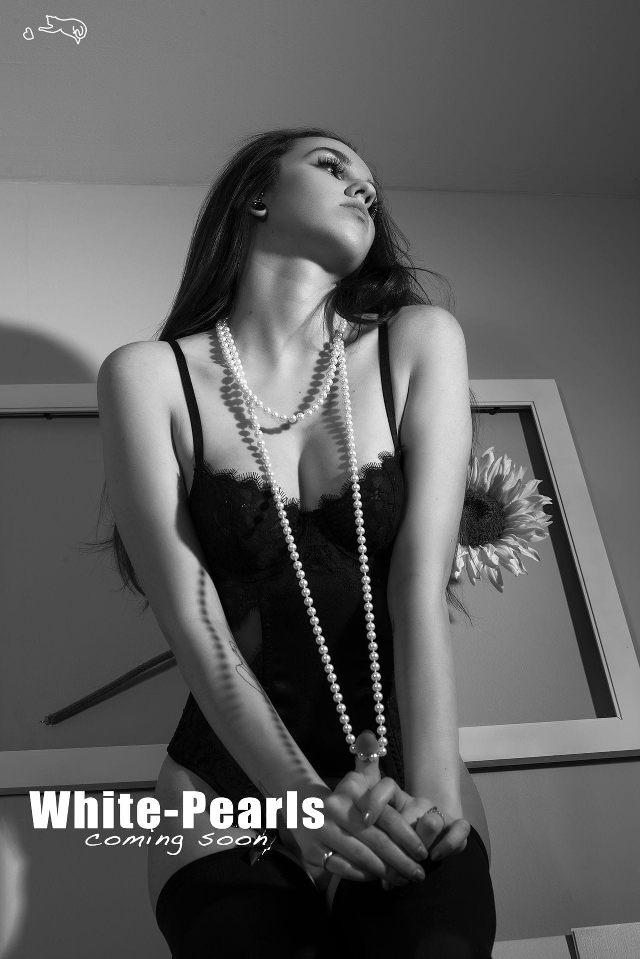 ViperGirl Haley, Fifty Shades ofHaley, Sensual and Erotic art.Set include.Sexy Fun and Flirty images.Nude, Topless,Implied.Lingerie.Stockings.Pearls.
